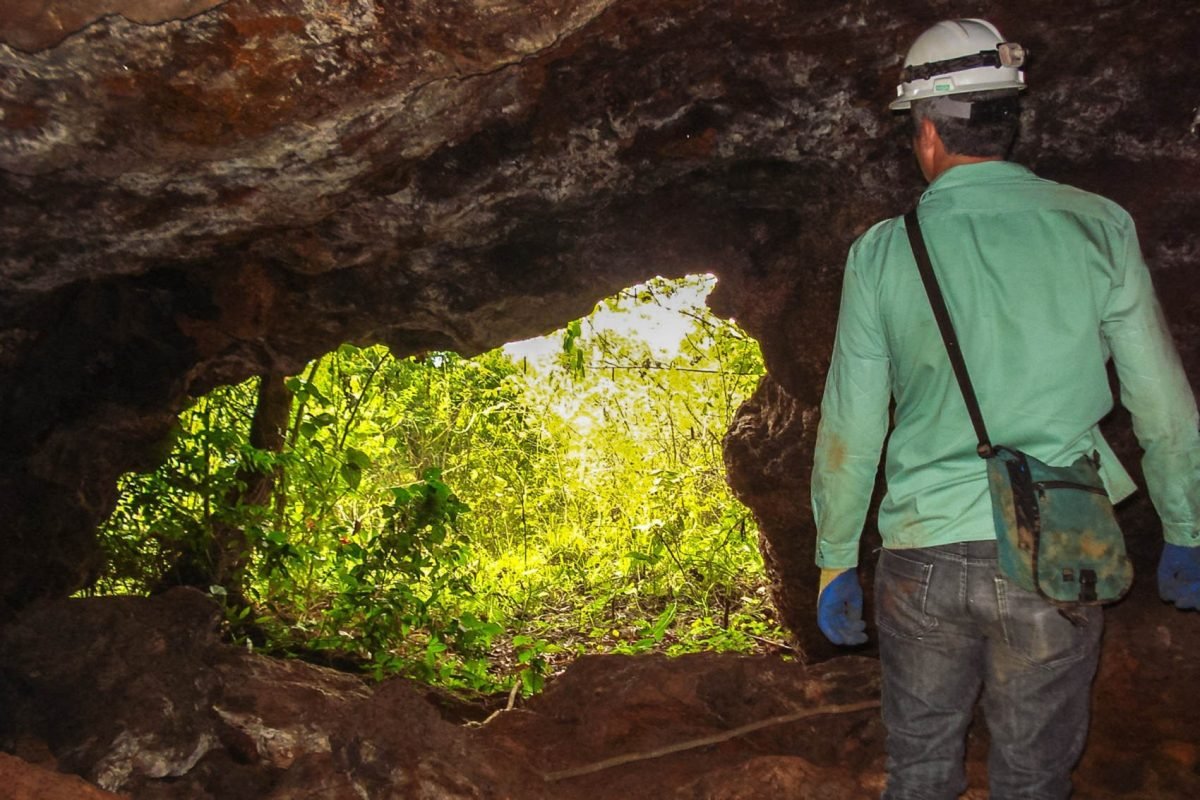 campos rupestres ferruginosos, cavernas, ambientes aquáticos e espécies endêmica