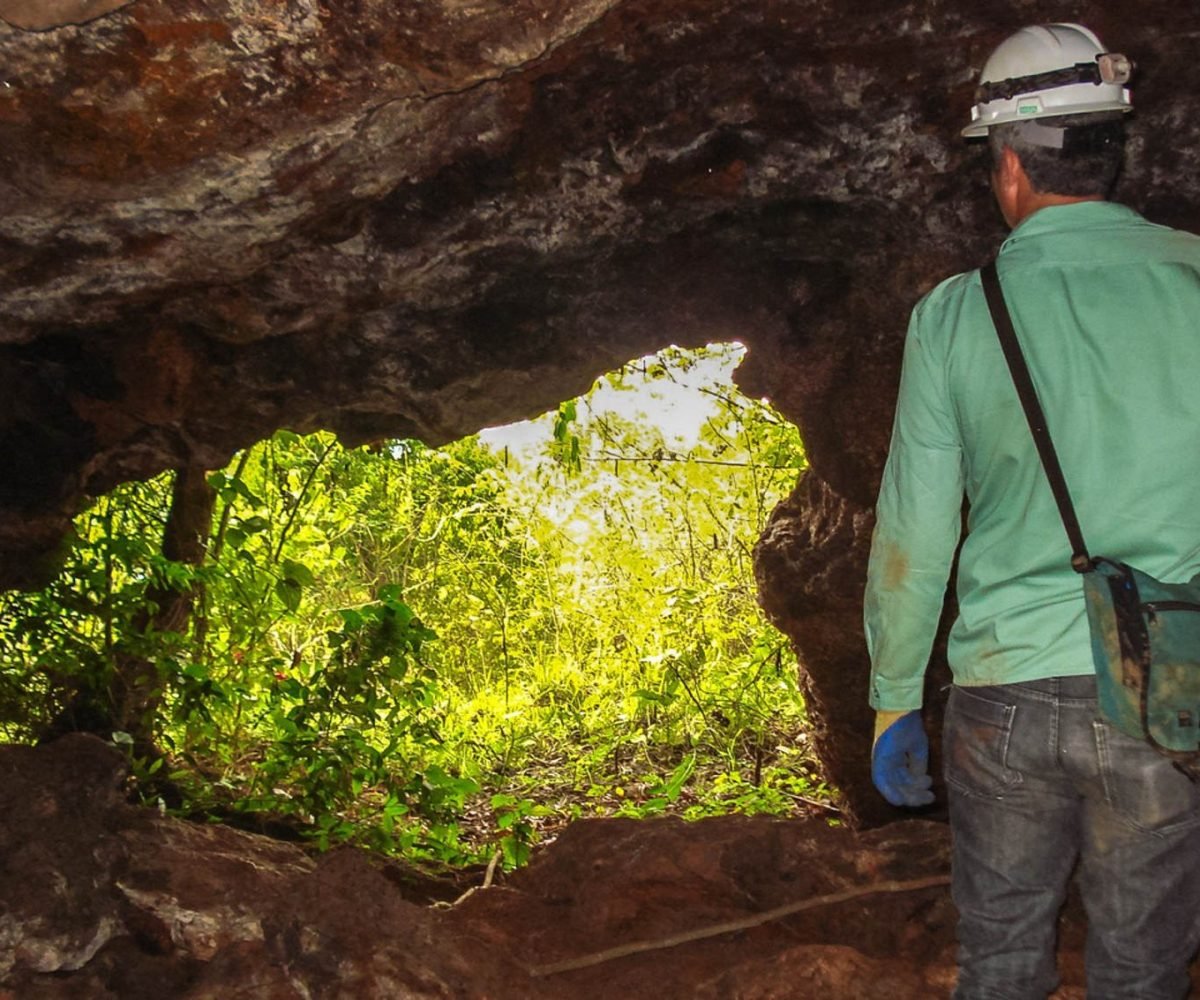 campos rupestres ferruginosos, cavernas, ambientes aquáticos e espécies endêmica
