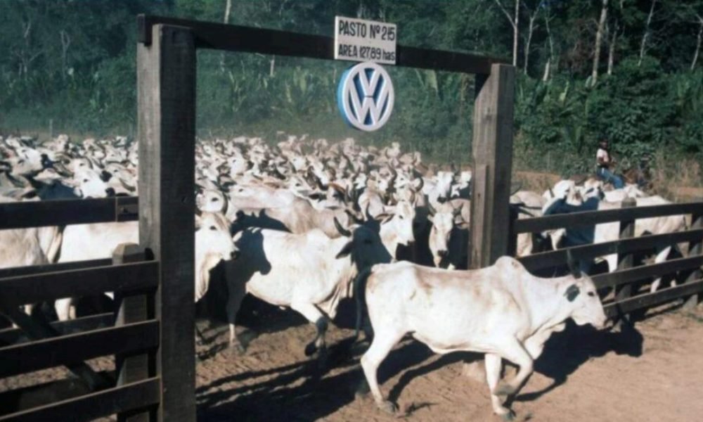 trabalho escravo no Pará. Wolfgang Weihs/picture alliance A Vara do Trabalho de
