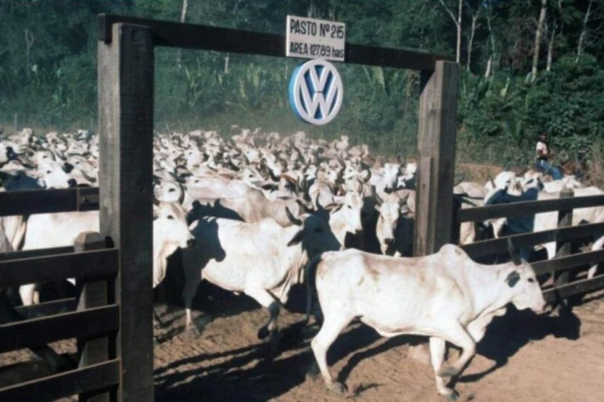 trabalho escravo no Pará. Wolfgang Weihs/picture alliance A Vara do Trabalho de