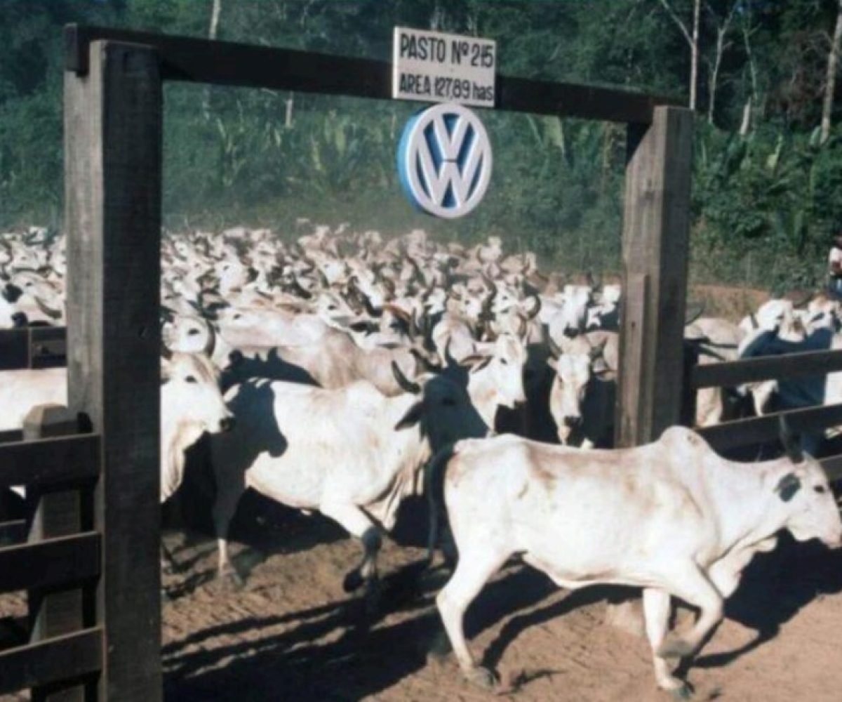 trabalho escravo no Pará. Wolfgang Weihs/picture alliance A Vara do Trabalho de