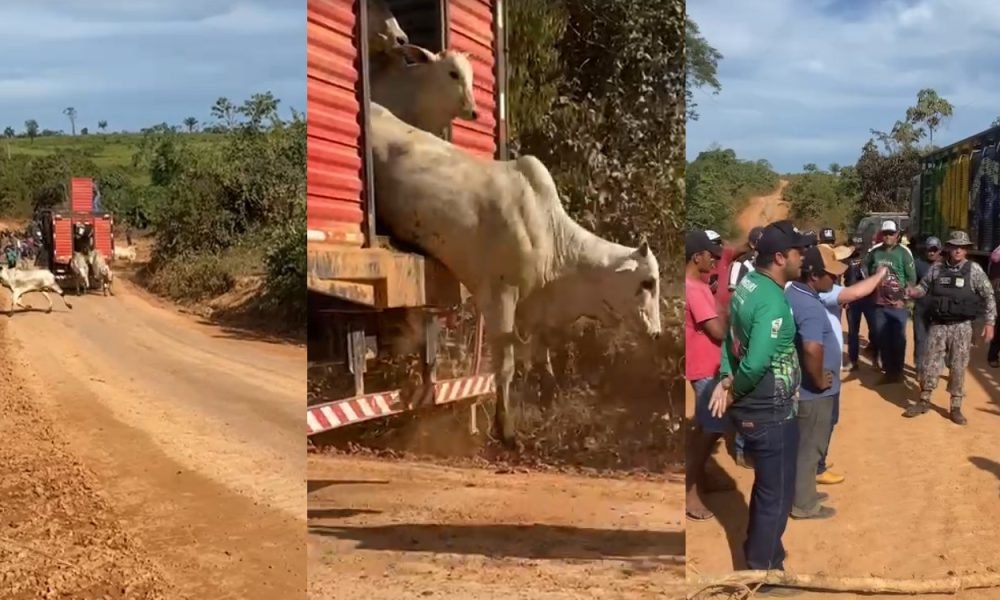 Foto: Reprodução / TV Liberal