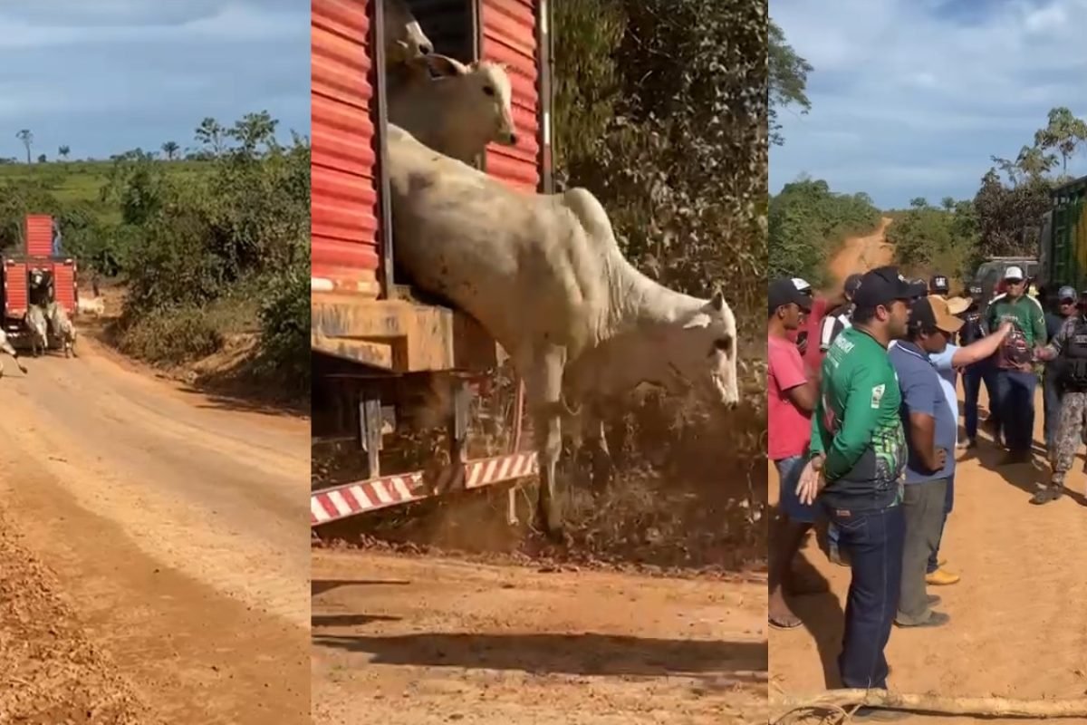 Foto: Reprodução / TV Liberal