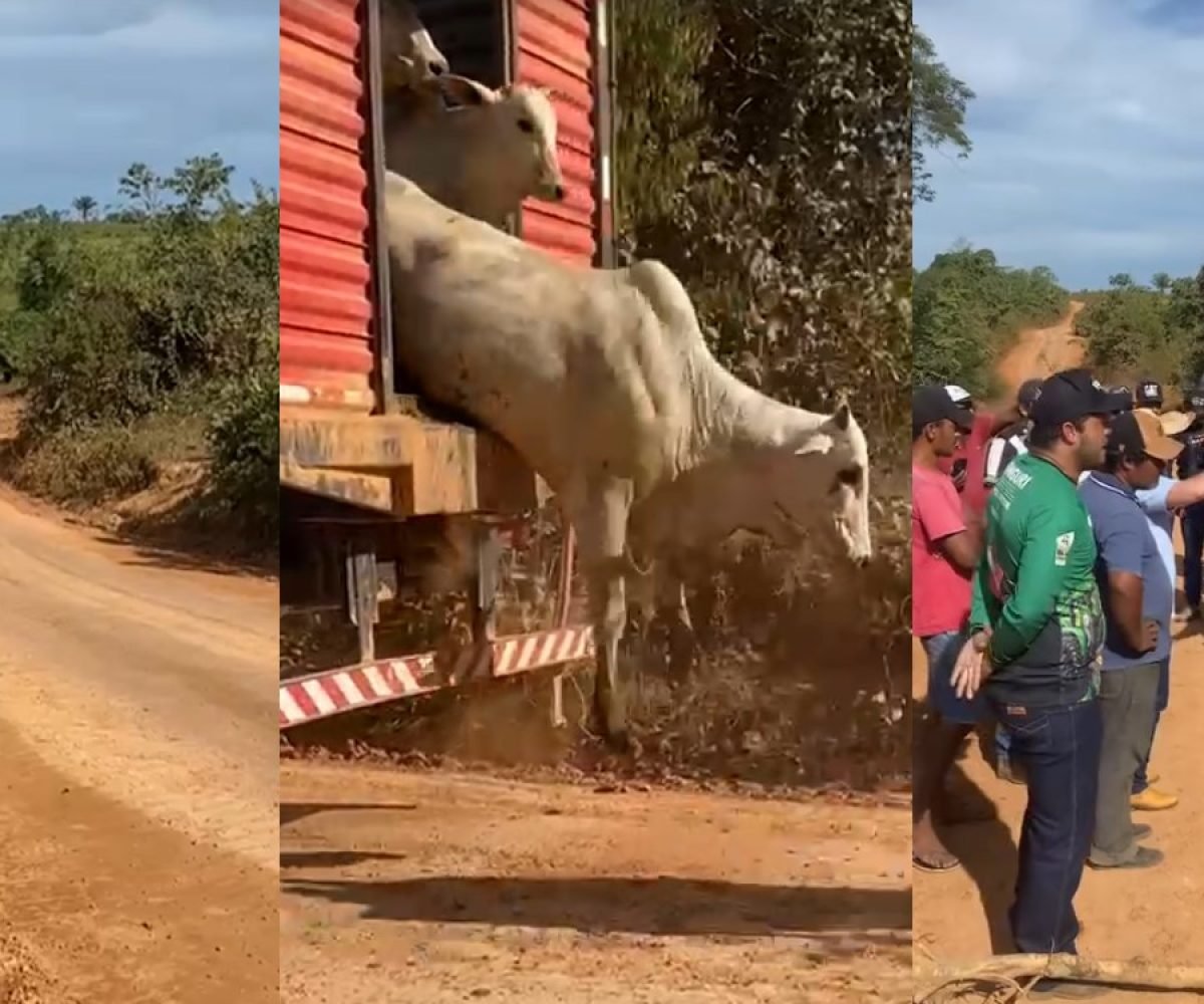 Foto: Reprodução / TV Liberal