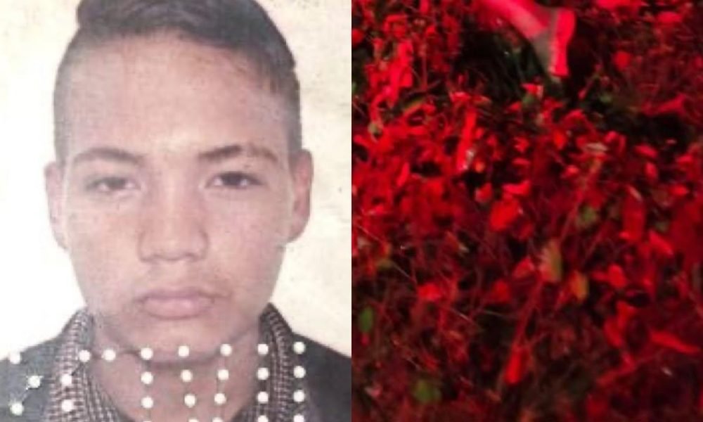 Jovem é encontrado morto com sinais de violência em área de mata de Ananindeua