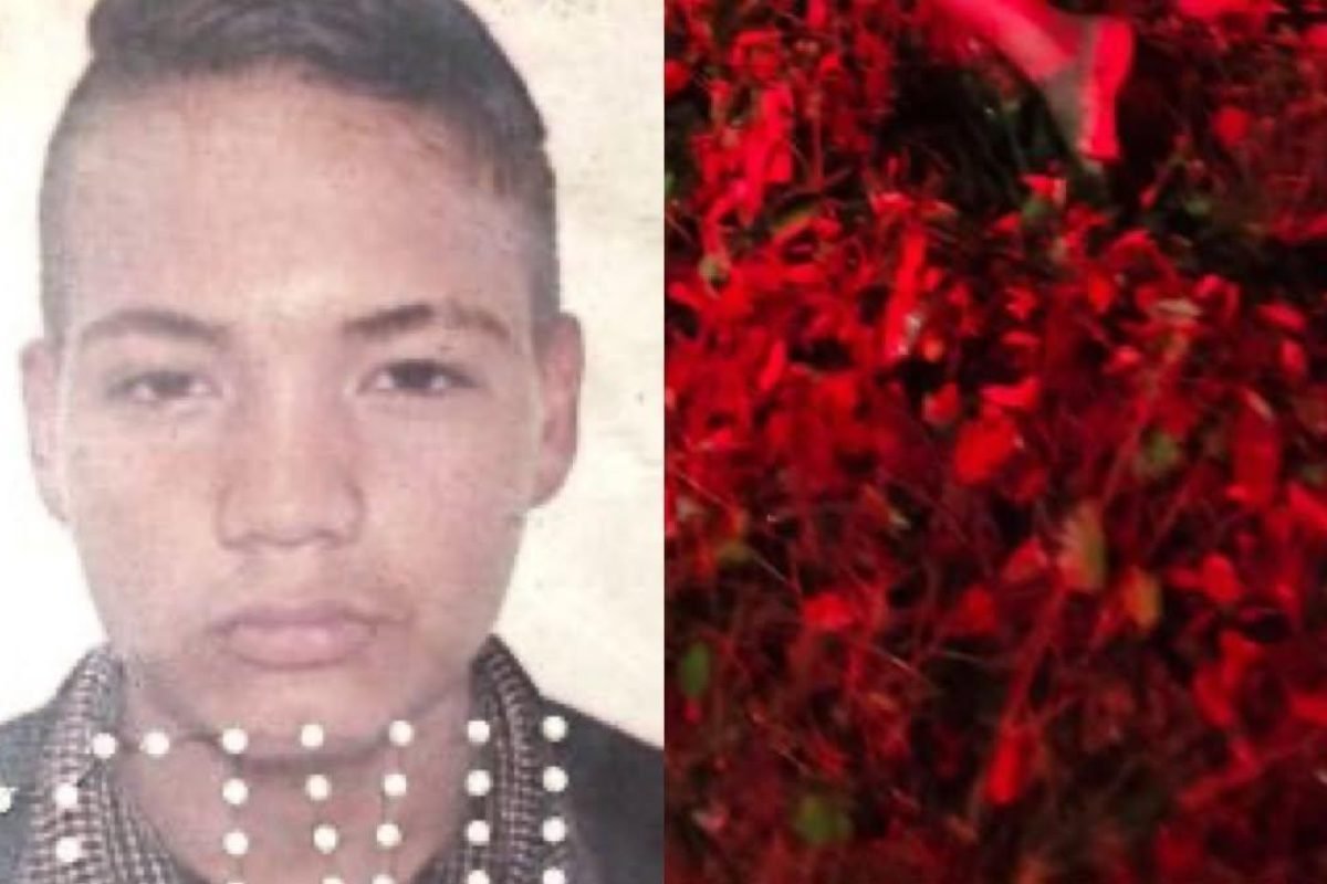 Jovem é encontrado morto com sinais de violência em área de mata de Ananindeua