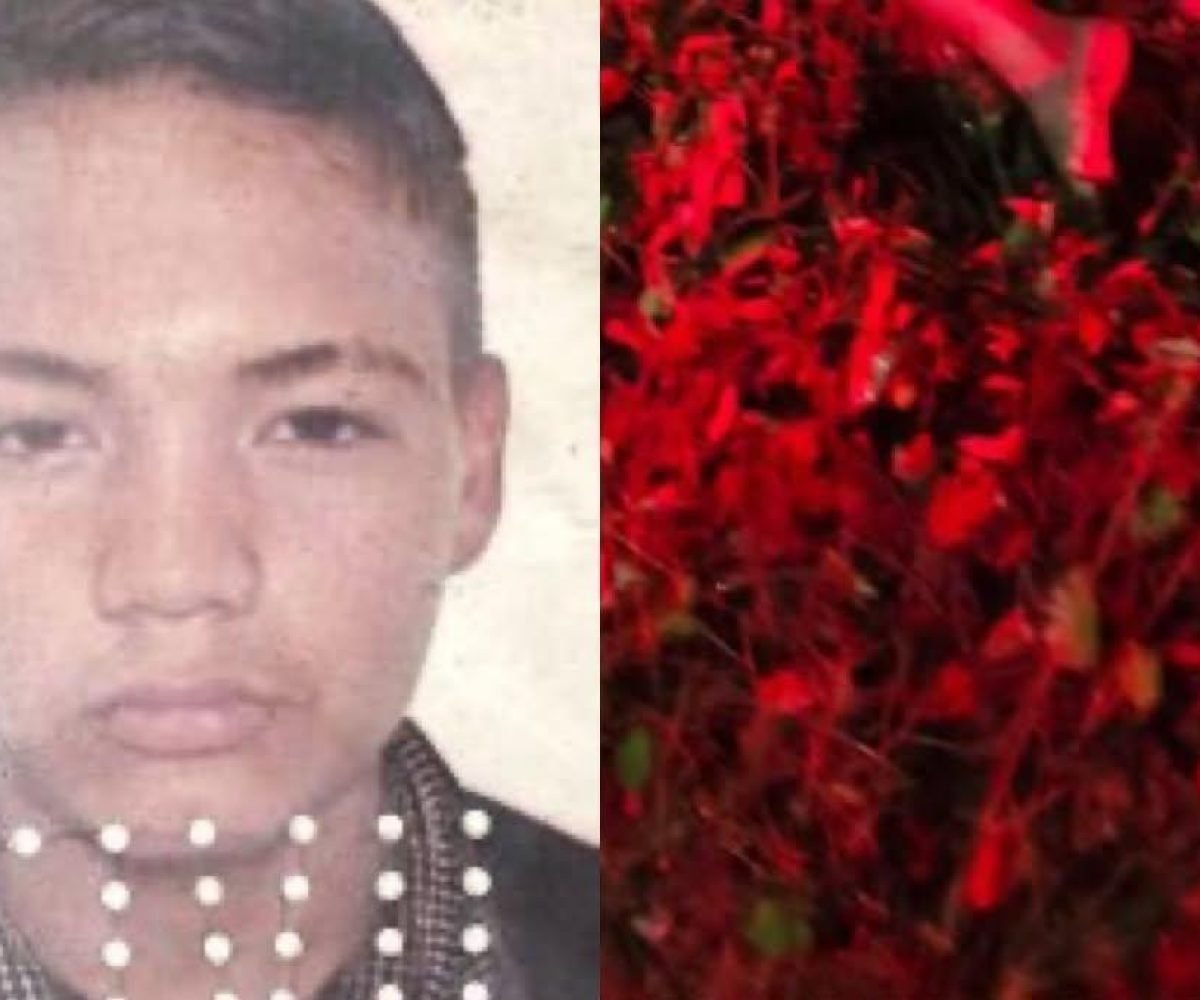 Jovem é encontrado morto com sinais de violência em área de mata de Ananindeua