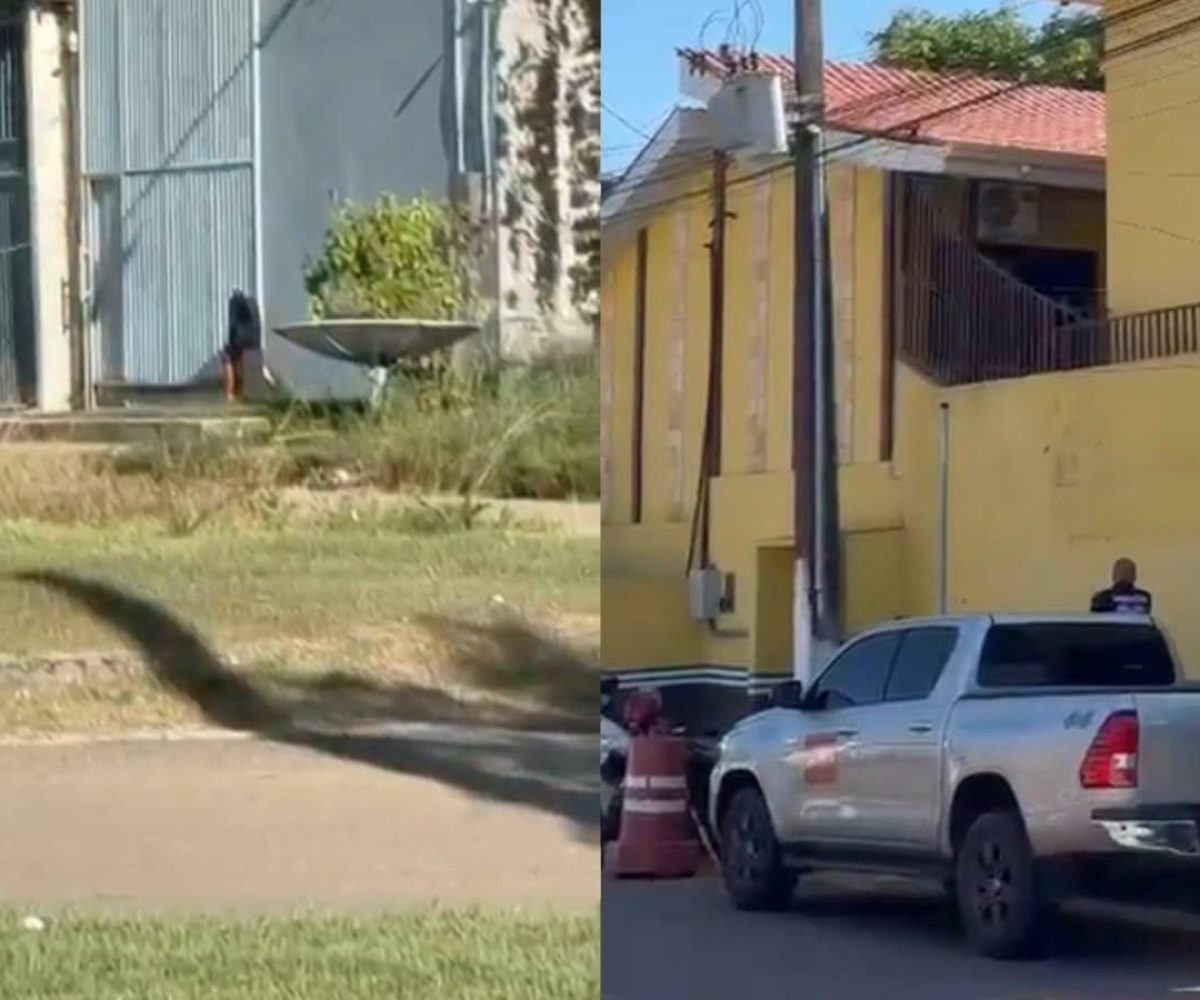 Ministério Público realiza operação em endereços ligados ao prefeito de Parauapebas