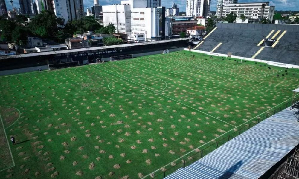 descompactação do solo, limpeza, doses de adubo para melhorar o rendimento da gr