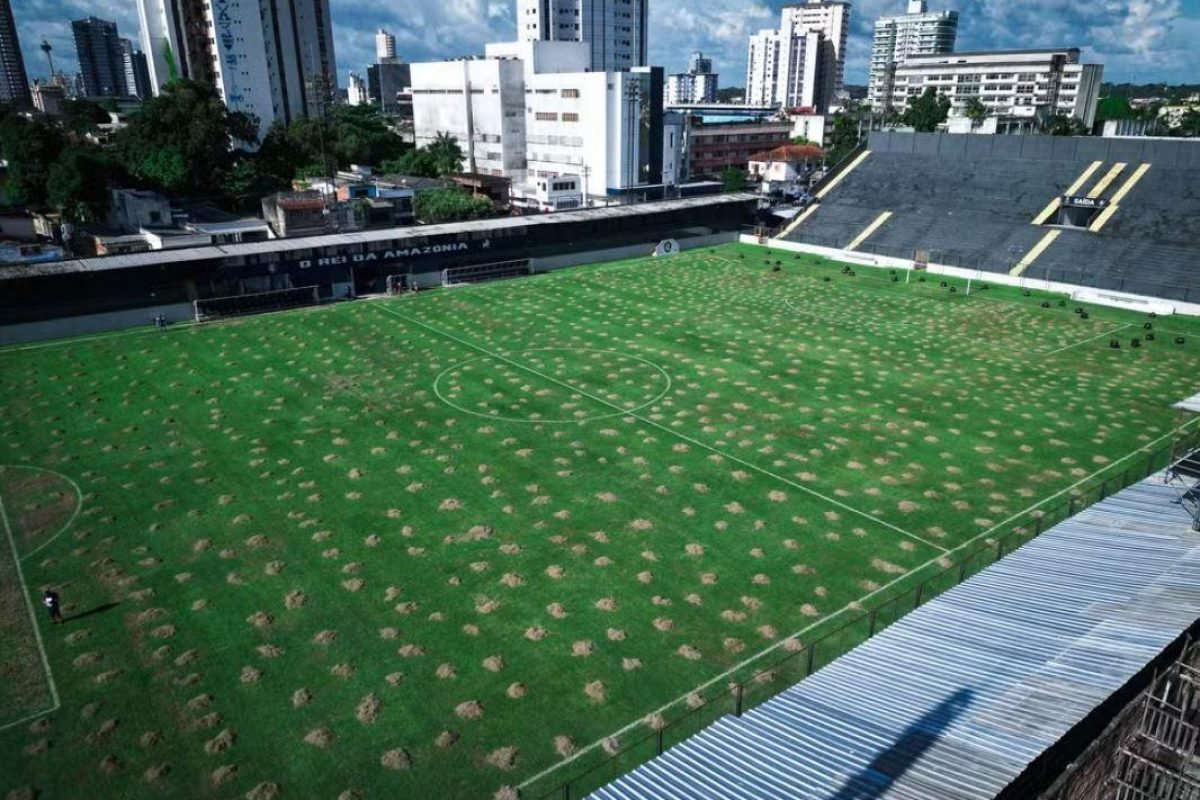 descompactação do solo, limpeza, doses de adubo para melhorar o rendimento da gr