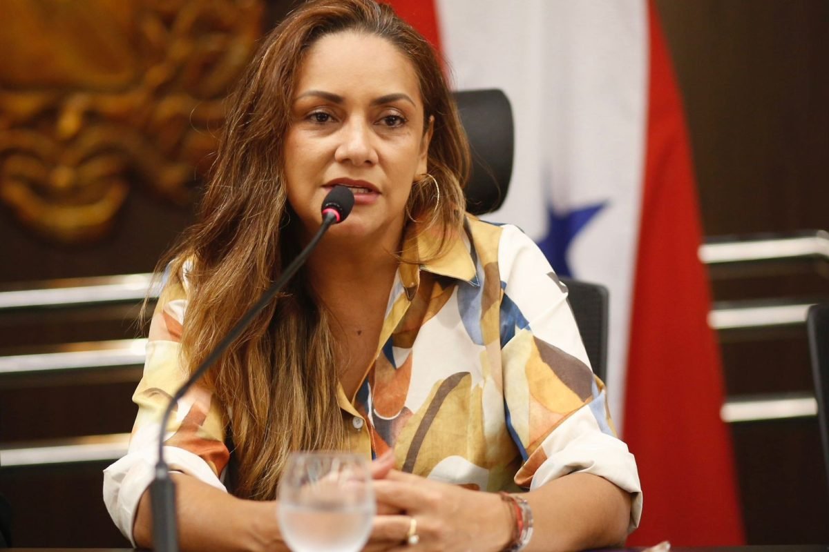 tunidades de formação, financiamento e participação em iniciativas realizadas ao