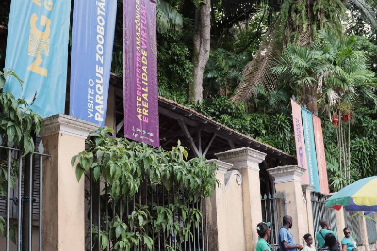 Museu Goeldi conquista prêmio nacional de divulgação científica com inovação no Tiktok