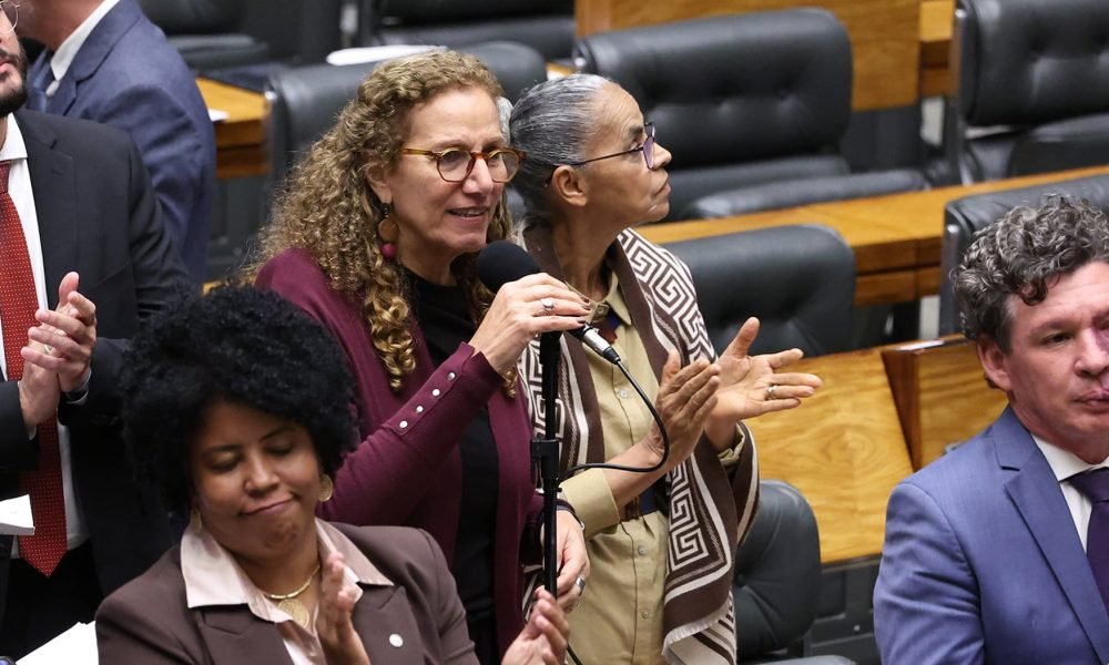 Na imagem, a relatora do projeto, Jandira Feghali (centro) e a autora da proposta, Jack Rocha (à esq)durante sessão plenária