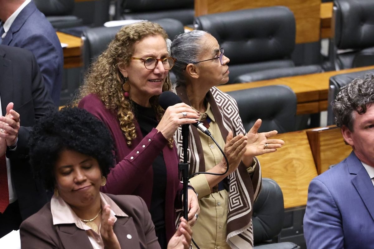 Na imagem, a relatora do projeto, Jandira Feghali (centro) e a autora da proposta, Jack Rocha (à esq)durante sessão plenária
