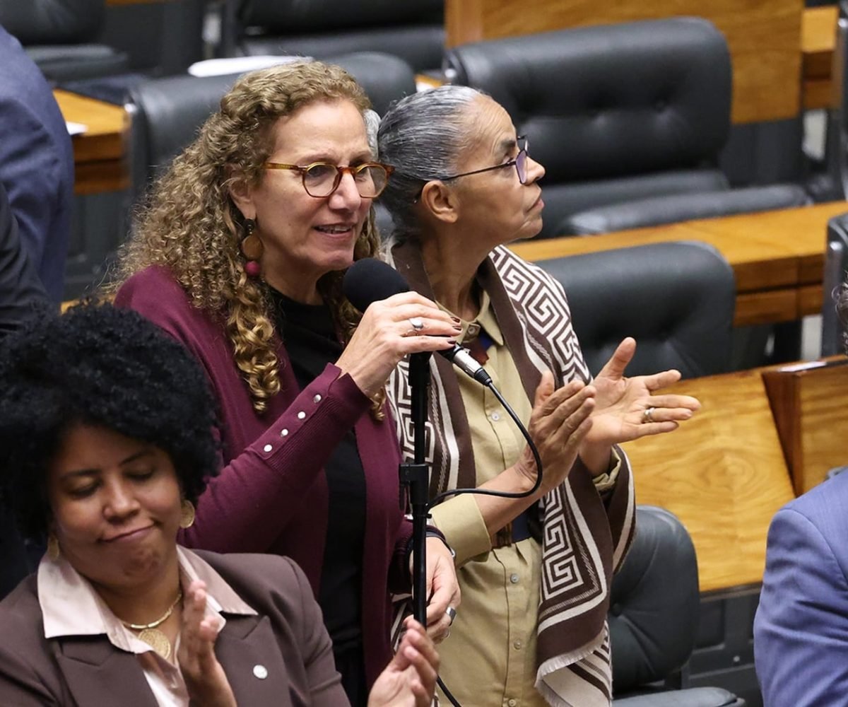Na imagem, a relatora do projeto, Jandira Feghali (centro) e a autora da proposta, Jack Rocha (à esq)durante sessão plenária