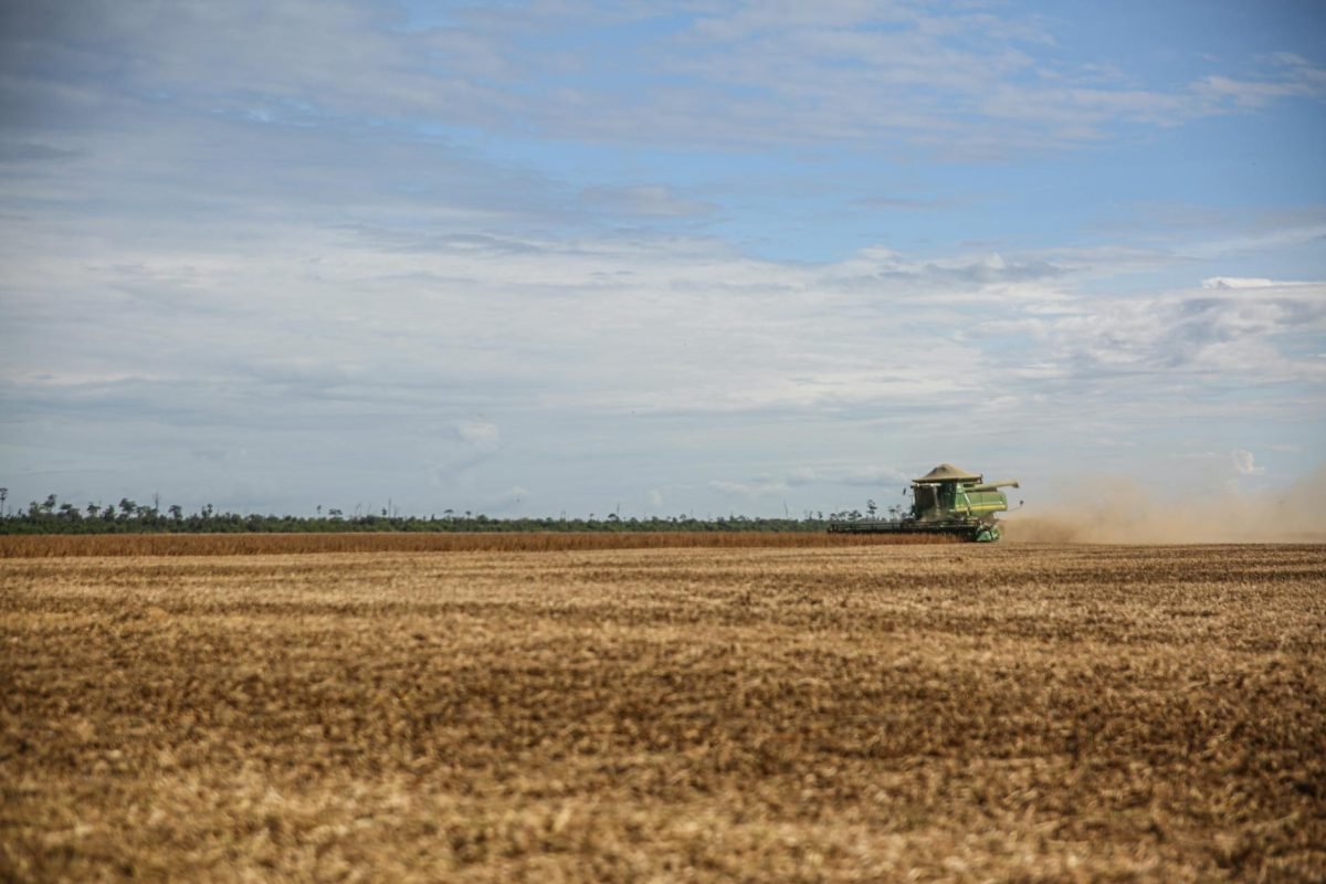 pexels-photo-31173018