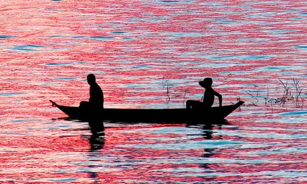 © Divulgação TV Brasil