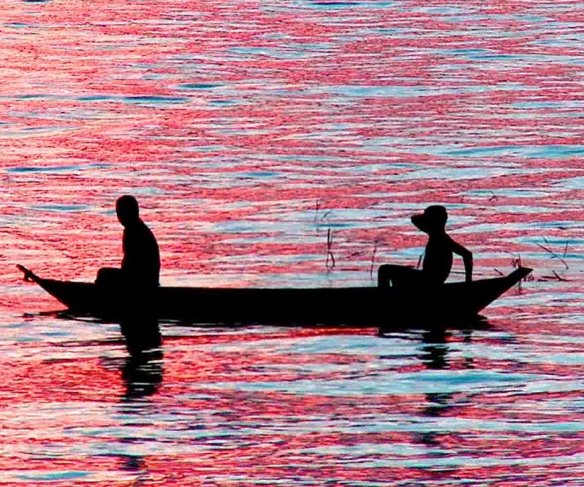 © Divulgação TV Brasil